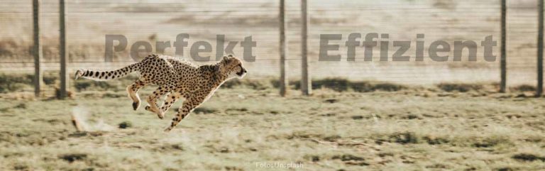 Zielkosten Leopard im Sprint