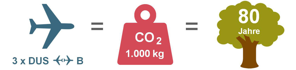 Dämmung CO2 ein Baum speicher 1000kg