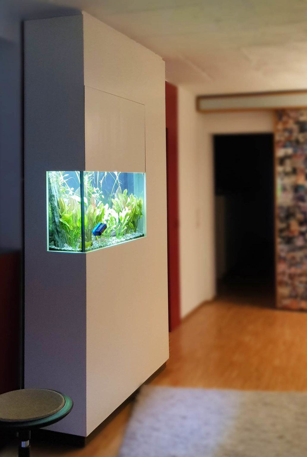 Design Aquariumschrank Maßanfertigung | Referenzprojekt