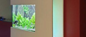 Aquariumschrank integriert
